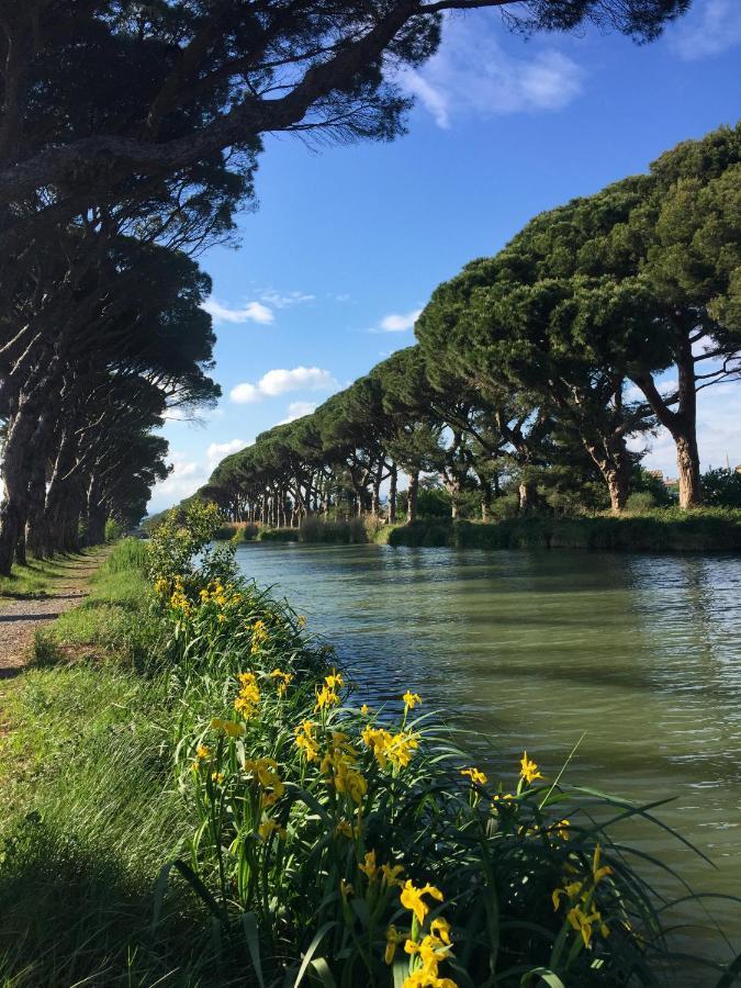 La Passerelle Du Canal Sallèles-dʼAude Buitenkant foto